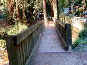 Old Mill Park