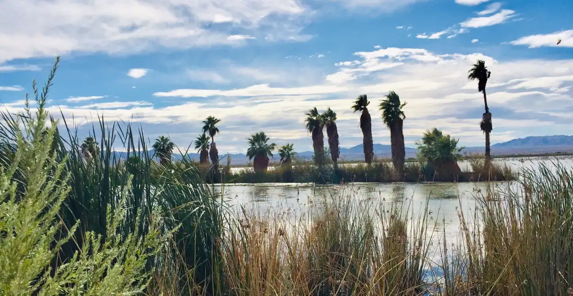 Hotels near Havasu National Wildlife Refuge