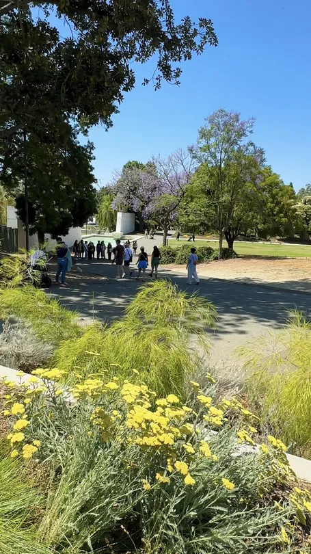 Los Angeles County Arboretum amp - 0HJ3u12000h9s54p77E4D W 1440 810 Q80.webp