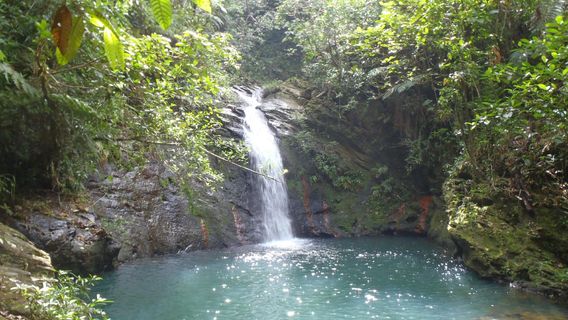Cockscomb Basin Wildlife Sanctuary