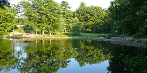 Rocky Woods