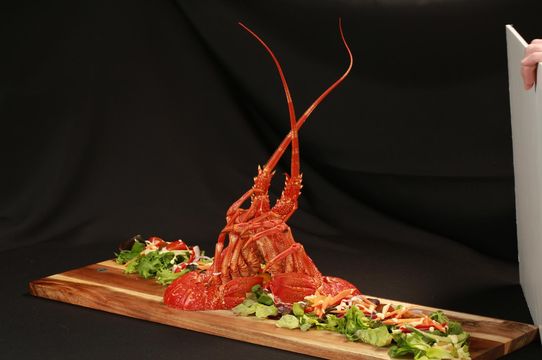 The Big Lobster