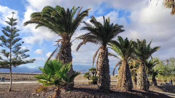 Pozo Izquierdo Beach