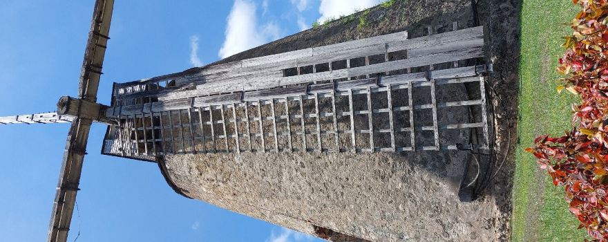 Morgan Lewis Sugar Mill