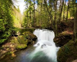 香港-貝靈厄姆 機票酒店 自由行