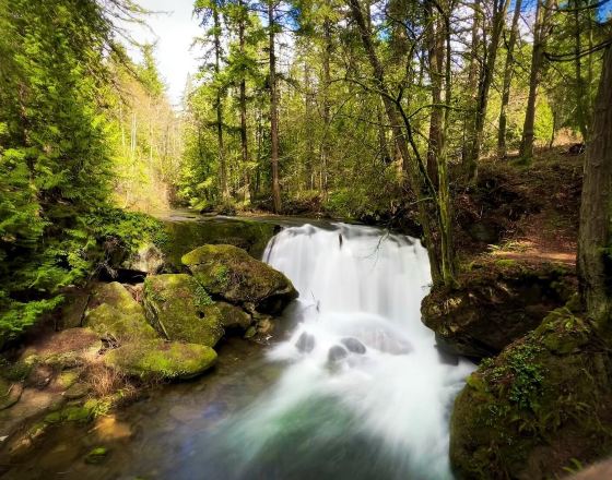 貝靈厄姆 自由行套票