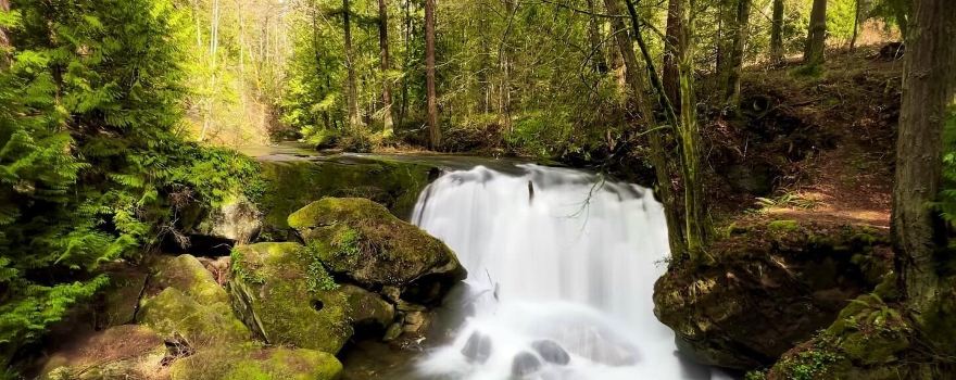 Whatcom County