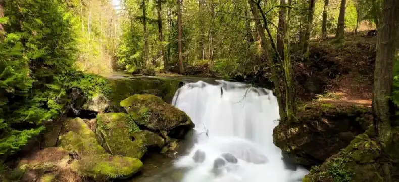 Hotels in Bellingham