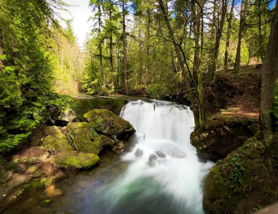 Hotels near Whatcom Falls Park