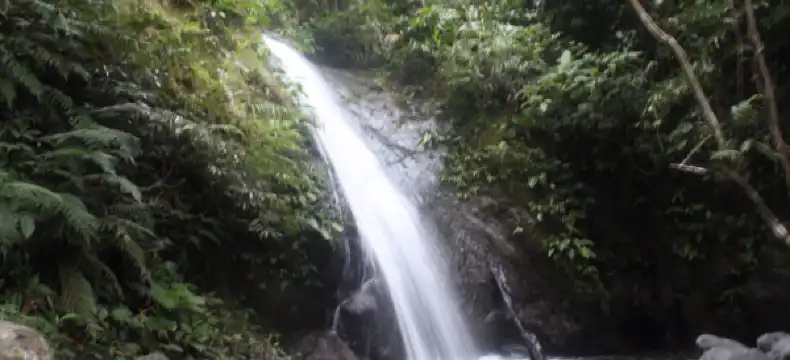 Hotels in Batac