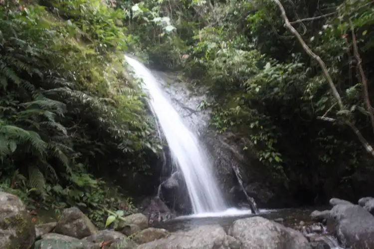 Batac