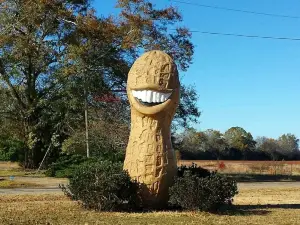 The Smiling Peanut (Jimmy Carter Commemoration)