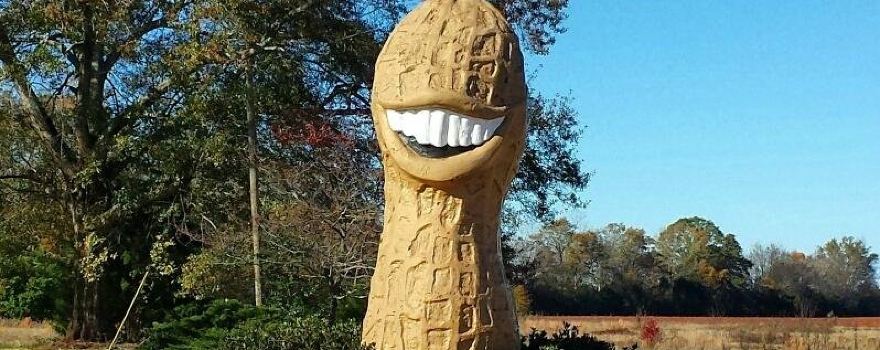 The Smiling Peanut (Jimmy Carter Commemoration)