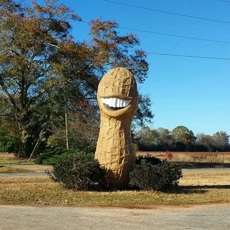 1_The Smiling Peanut (Jimmy Carter Commemoration)