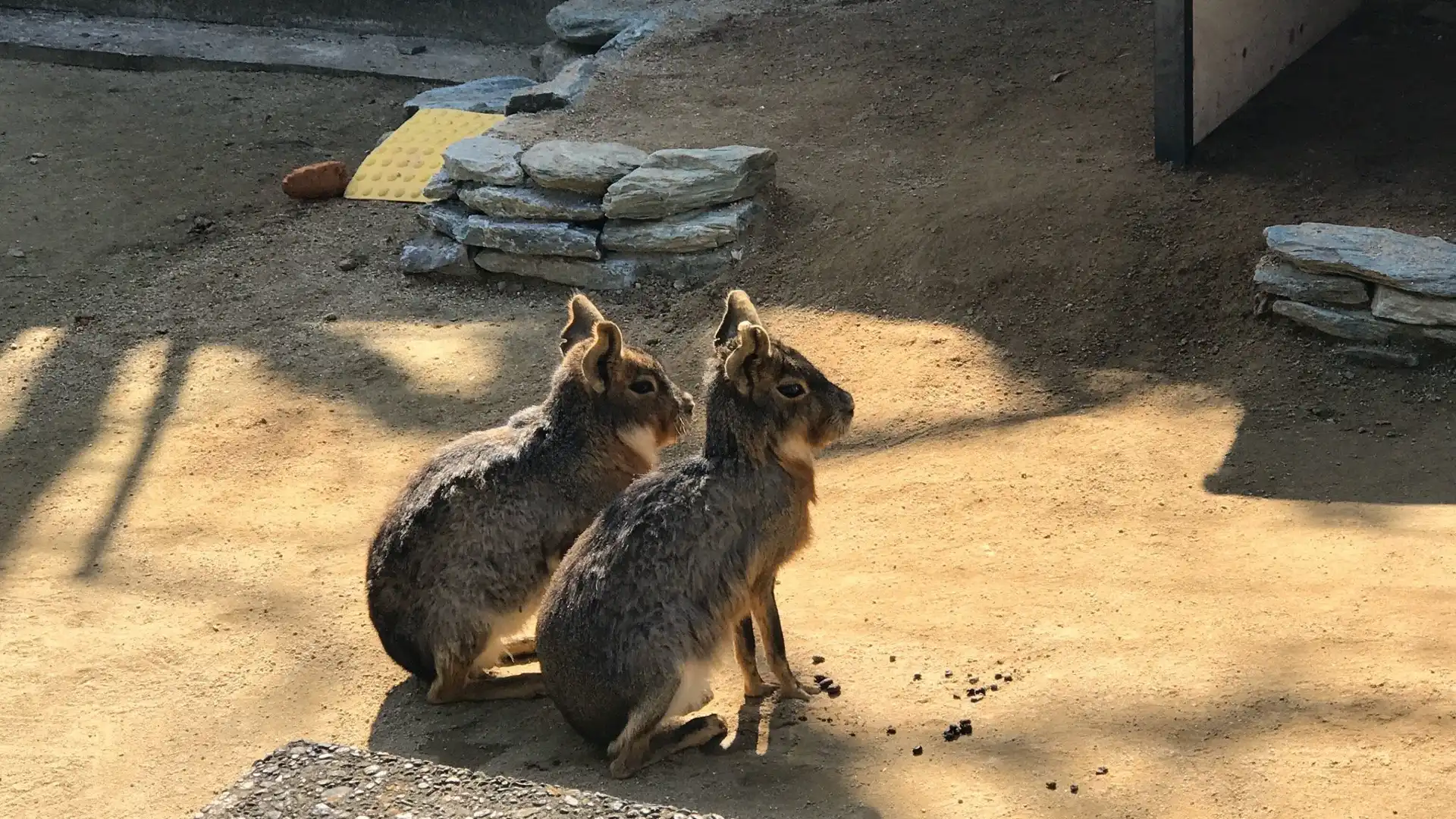 Hotels near Wakayama Castle Park Zoo