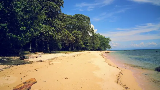 Pulau Papan