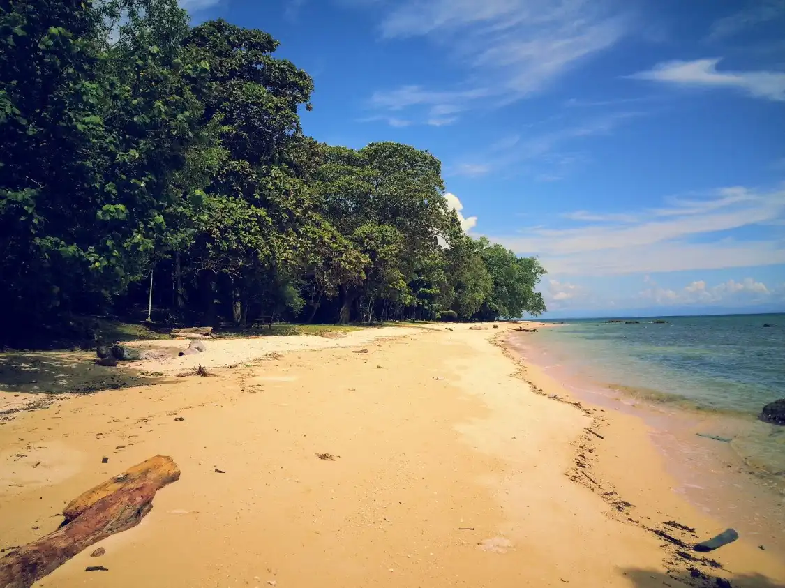 Hotels near Pulau Papan