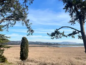 Tamar Island Wetlands Centre
