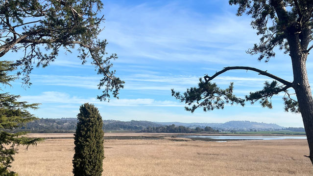 Tamar Island Wetlands Centre