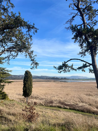 Tamar Island Wetlands Centre