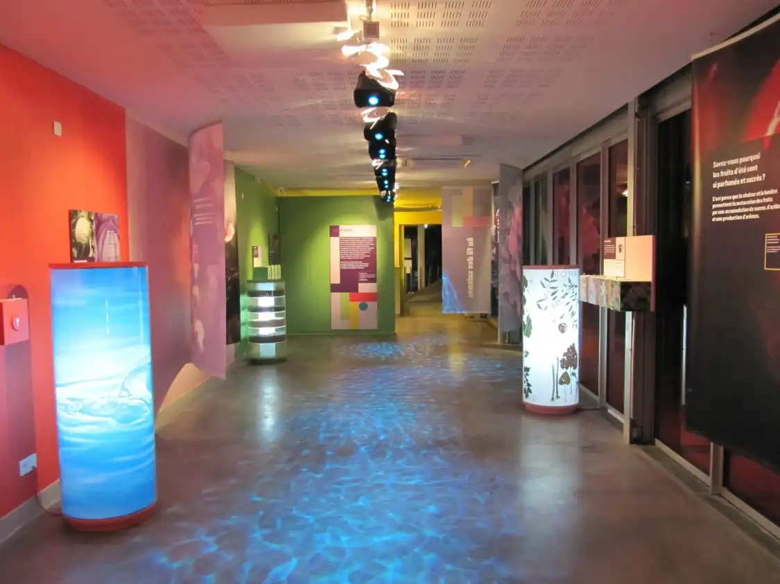 Hotel dekat Epicurium