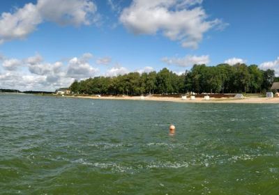 Võru