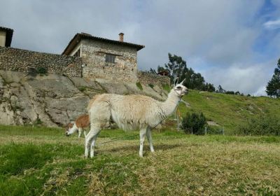 Cañar