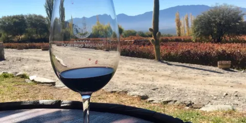 Bodega Domingo Molina