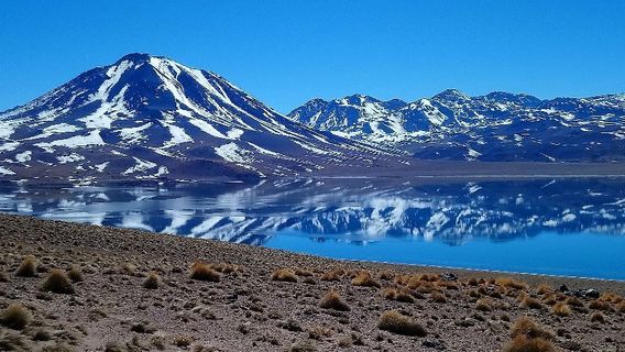 Lagunas Miscanti y Miniques