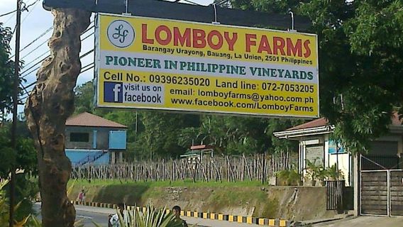 Lomboy Farms