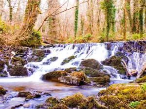 Dún a Rí Forest Park