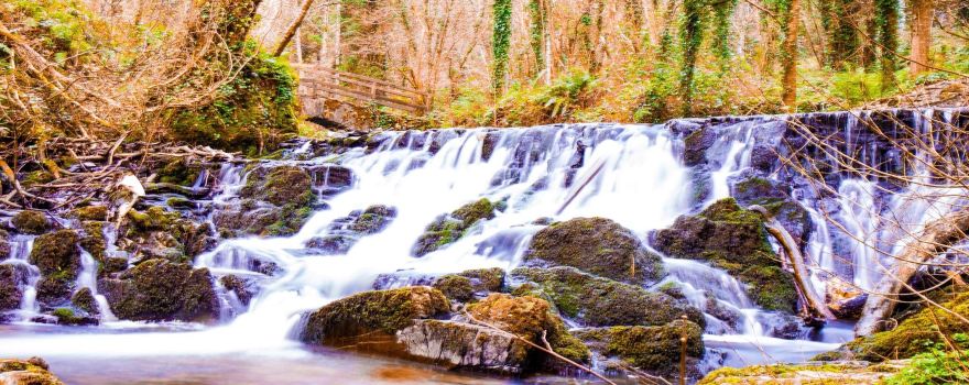 County Cavan