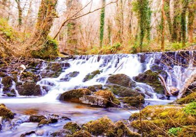 Dún a Rí Forest Park