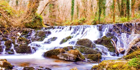 Dun A Ri Forest Park