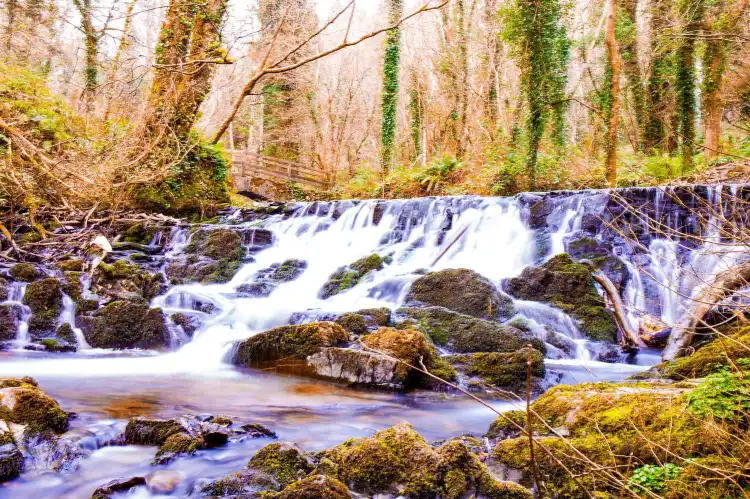 Hotels near Dún a Rí Forest Park