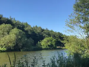 Vicar Water Country Park