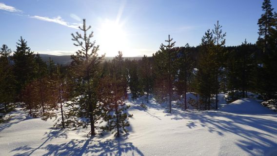 Kiruna
