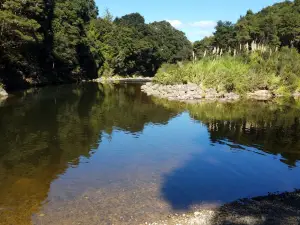 Department of Conservation - Kauaeranga Visitor Centre