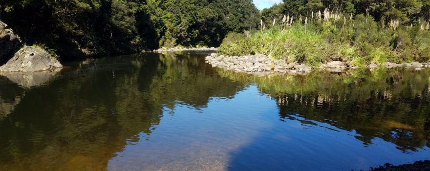 Department of Conservation - Kauaeranga Visitor Centre