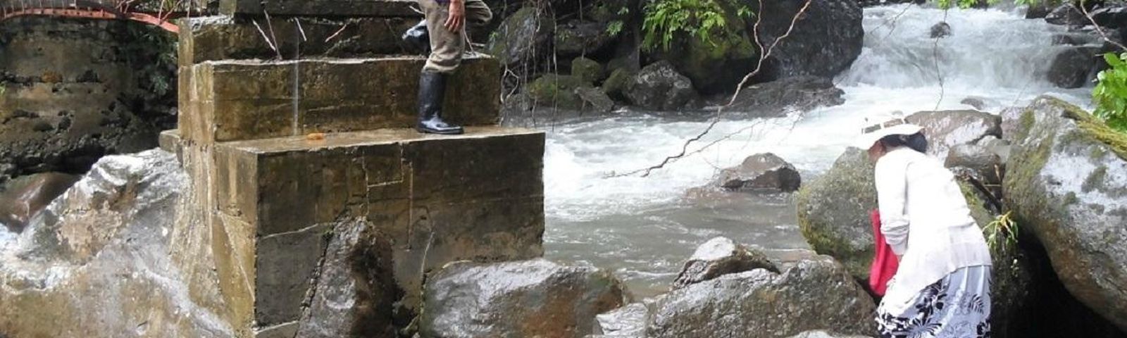 알레그리아데이 투어