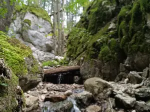 Seven Ladders Canyon