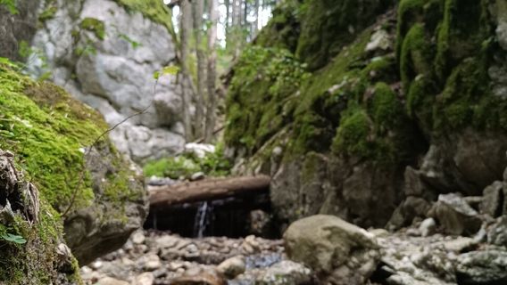 Seven Ladders Canyon