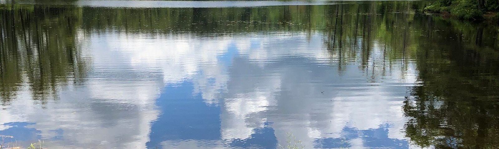 런던데리데이 투어