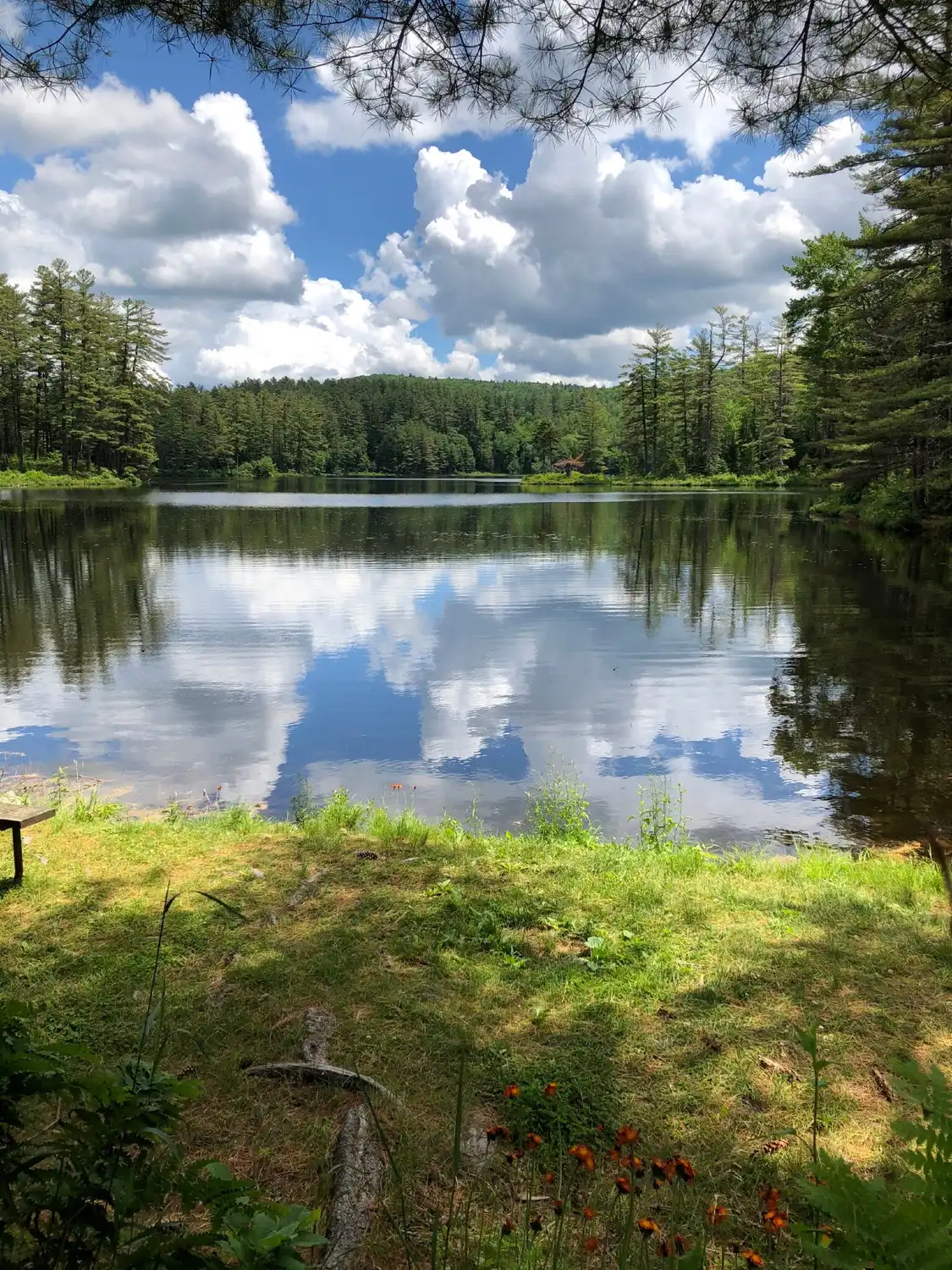 Hotels near Lowell Lake State Park