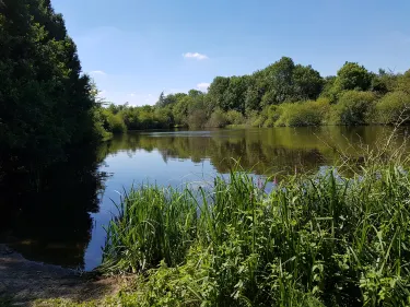 Ilkeston