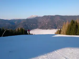 Schneesportschule - Schneesport Taberhofer