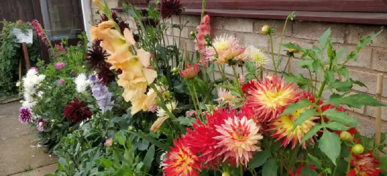 Hotels in Desborough