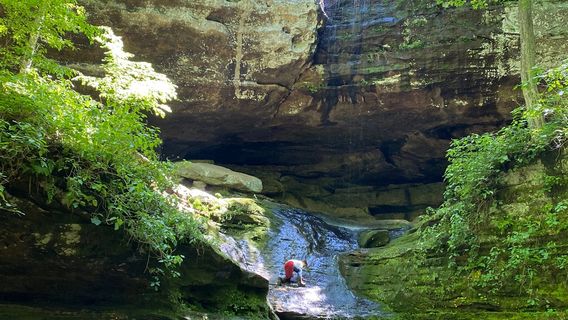 Ferne Clyffe State Park