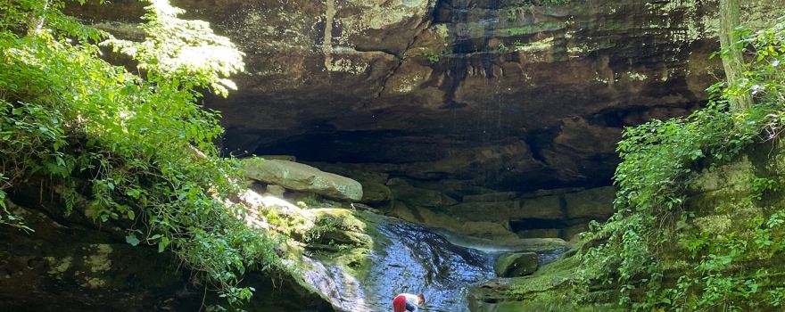 Ferne Clyffe State Park
