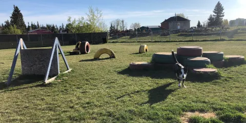 Lloydminster’s Off Leash Dog Park
